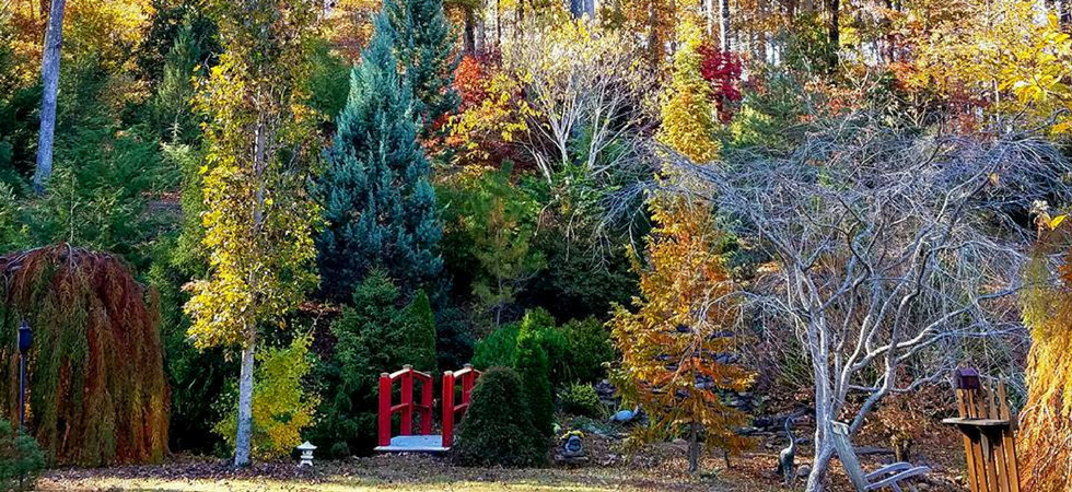 Cox Arboretum Awarded Level II Accreditation