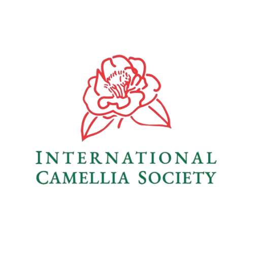 4 Camellia Society